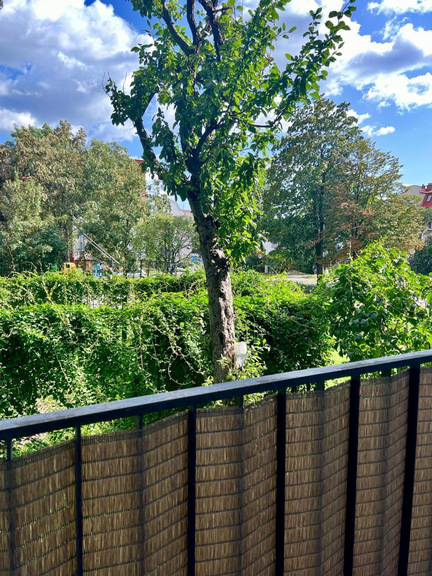 M&S Lux Apartments Kochanowskiego Łódź Buitenkant foto
